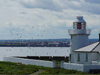 Inner Farne at the Farne Islands